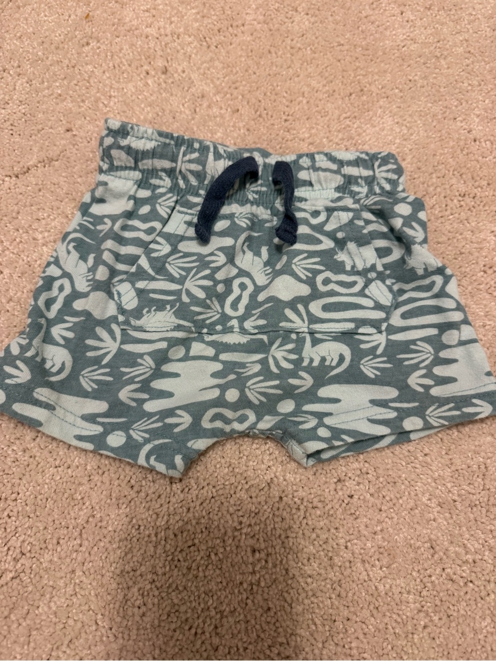 Toddler Pull-On Shorts